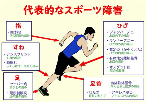 別怪我|スポーツ外傷・障害予防ガイド